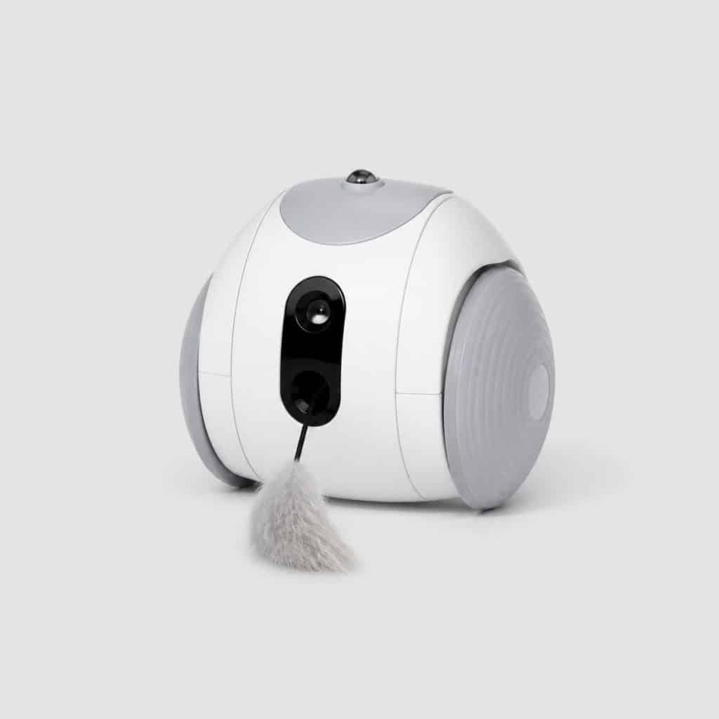 Jouet interactif pour chat vu de face sur fond neutre