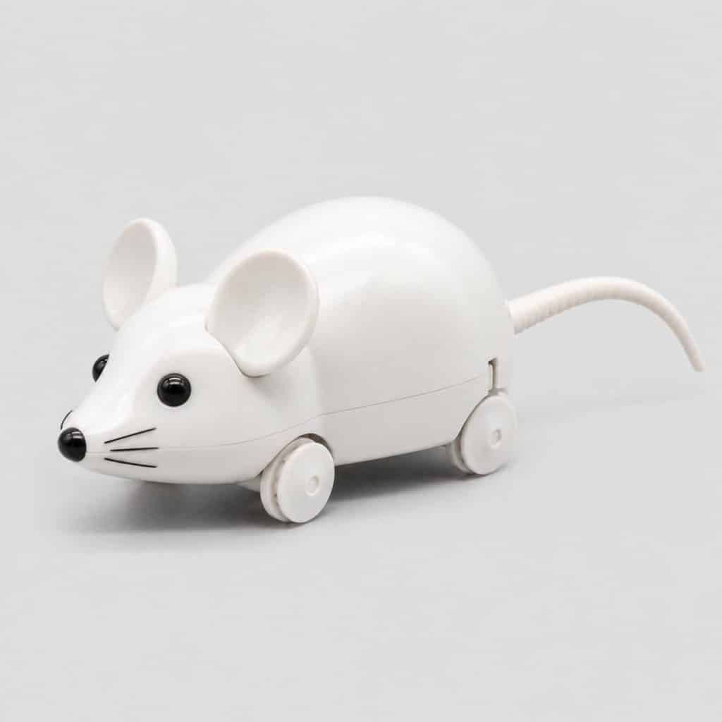Souris mécanique pour chat vue de face